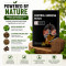 Control Smoking Patches Smok Free Life with Our Herbal Infused with a Powerful Blend Pack of 5 Bags