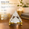 Crystal Pyramid for Home & Office Decor, 6 Cm Glass Pyramid with 2 Metallic Golden Stands For Decor