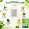 Natural Herbal Detox Foot Pads for Stress Relief & Sleep Bamboo Vinegar (10 Patches)