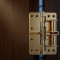 (GOLDEN) Heavy Duty Spring Loaded Hinges for Doors & Gates - Self Closing Hinges