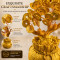 Golden Wealth Tree with Lucky Coins, Prosperity Money Tree Decorative Showpiece for Home & Office