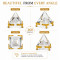Crystal Pyramid for Home & Office Decor, 6 Cm Glass Pyramid with 2 Metallic Golden Stands For Decor